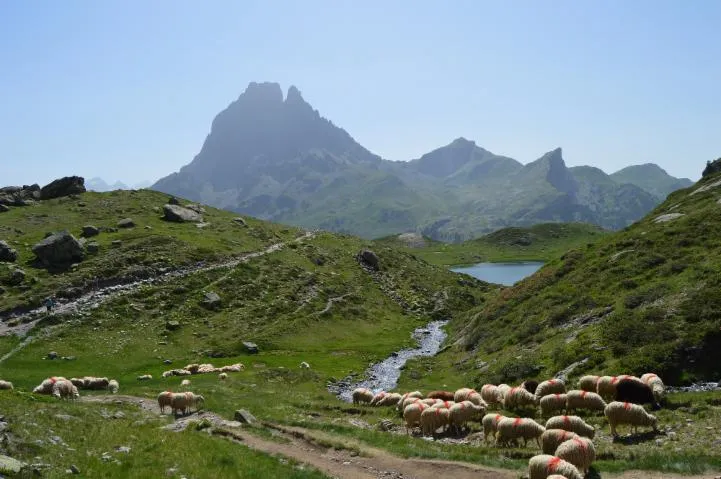 Image qui illustre: Parc National Des Pyrénées