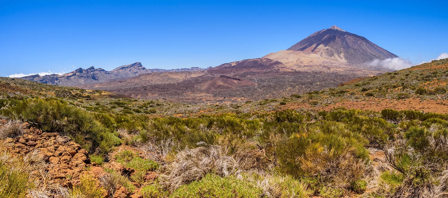 Image qui illustre: Parc National du Teide à  - 1