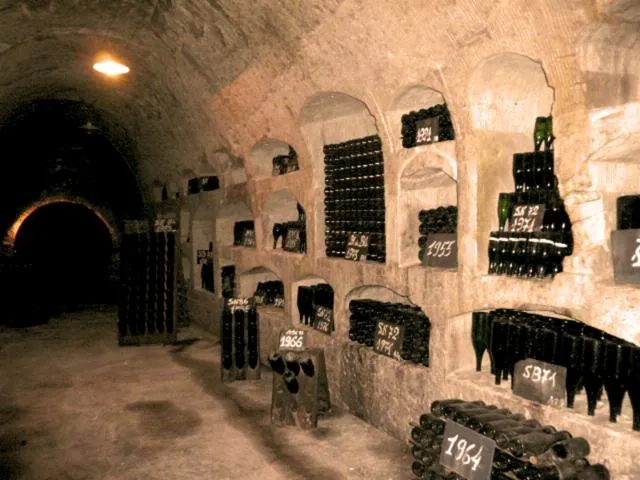 Image qui illustre: Maison De Champagne De Castellane