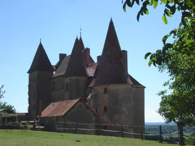 Image qui illustre: Château De Chassy