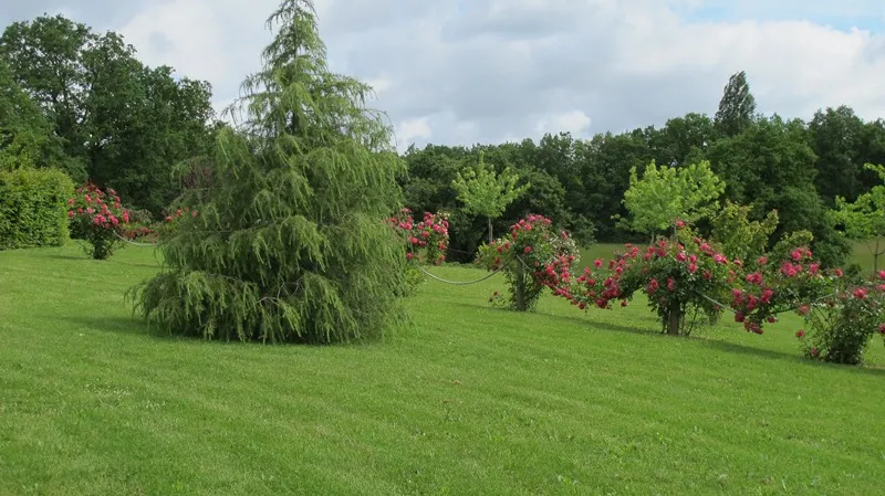 Image qui illustre: Jardin Pimpinellifolia à Saint-Aubin-de-Cadelech - 1