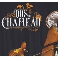 Image qui illustre: A Dos de Chameau à Châteaurenard - 0