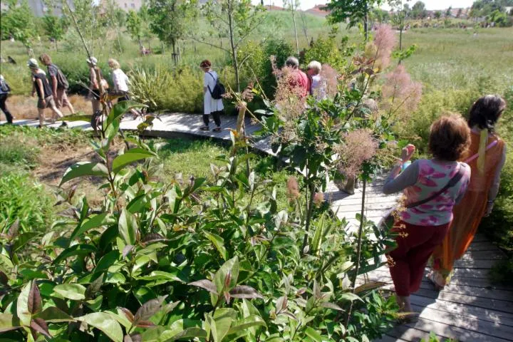 Image qui illustre: Visite commentée : le parc Sant Vicens, un aménagement durable dans la ville