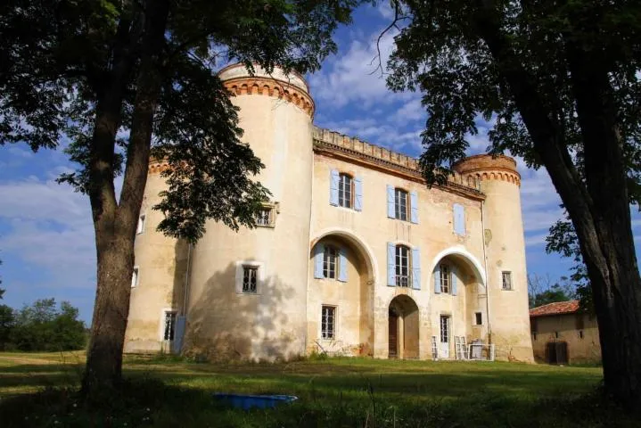 Image qui illustre: Chateau De Castagnac