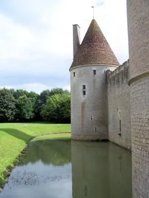 Image qui illustre: Château de Posanges