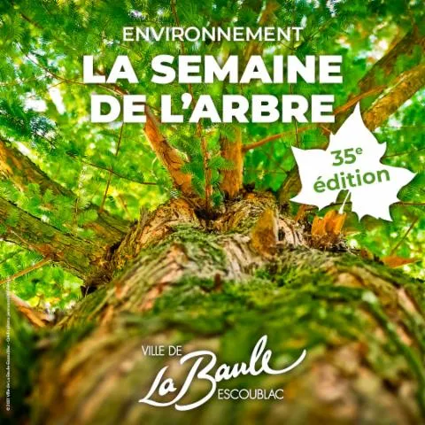 Image qui illustre: Semaine de l'arbre 2024 - 35e édition