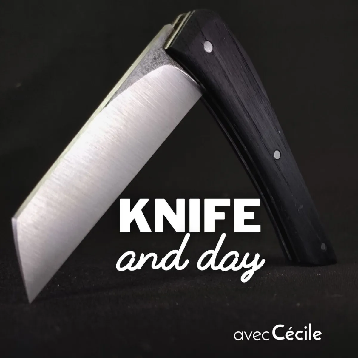 Image qui illustre: Fabriquez votre couteau pliant à Vic-Fezensac - 0