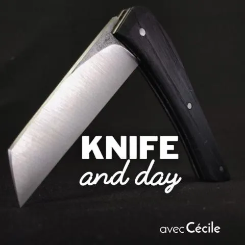 Image qui illustre: Fabriquez votre couteau pliant