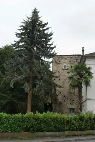 Image qui illustre: Partez à la découverte de la tour du moulin de Lourdes