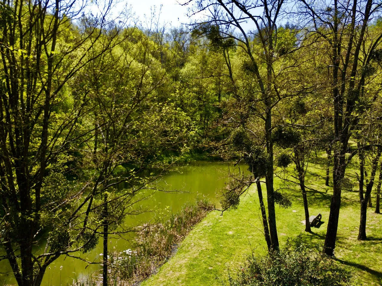 Image qui illustre: Visite guidée au Bois Noir : sortie nature et patrimoine à Aubin - 0