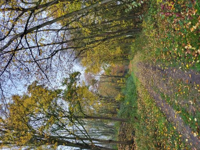 Image qui illustre: Coulée Verte Crévecoeur-le-grand À Croissy-sur-celle