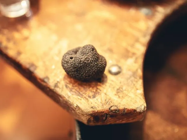 Image qui illustre: Marché Aux Truffes Et Produits Du Terroir