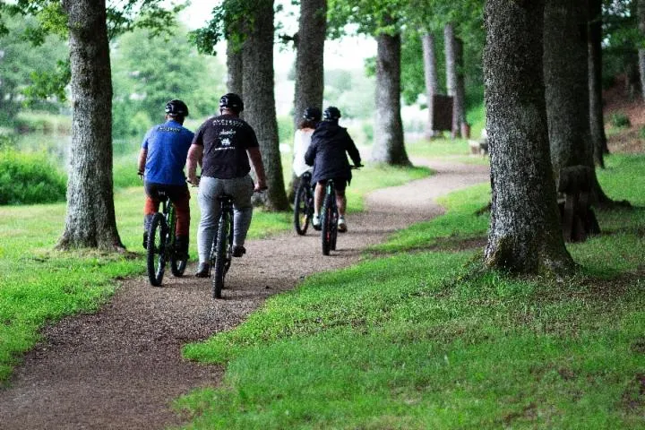 Image qui illustre: Location De Vtt À Assistance Électrique