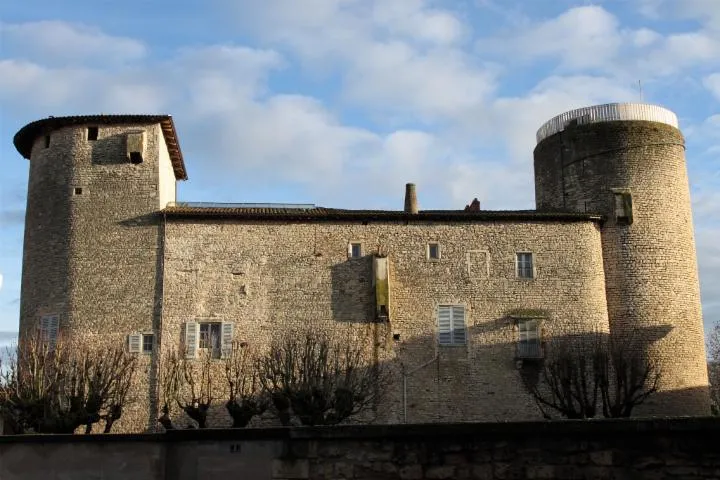 Image qui illustre: Château Des Tours