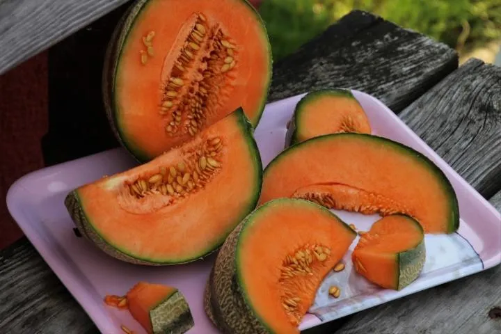 Image qui illustre: Foire Aux Melons