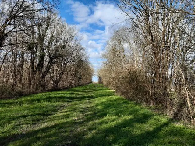 Image qui illustre: Randonnée du patrimoine autour des bois de la Bastière à Annezay !