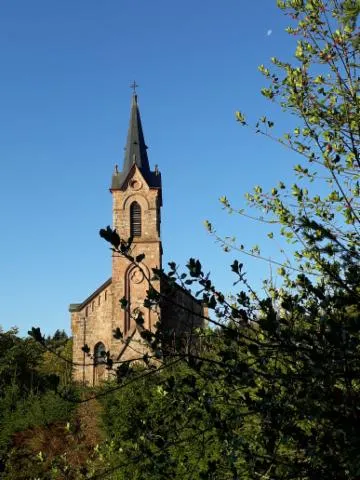 Image qui illustre: Visite commentée d'un temple protestant