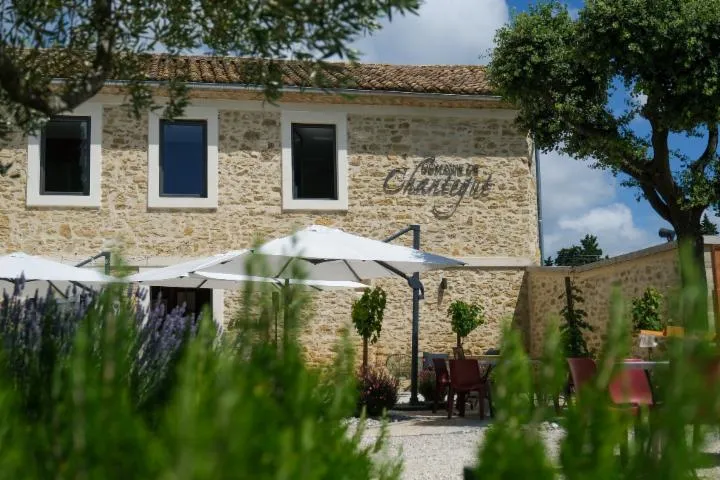 Image qui illustre: Domaine De Chantegut