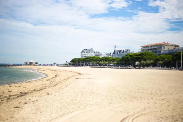 Image qui illustre: Le Teich à Arcachon par le GR® de Pays Tour du Bassin d’Arcachon et le GR®6 en écomobilité