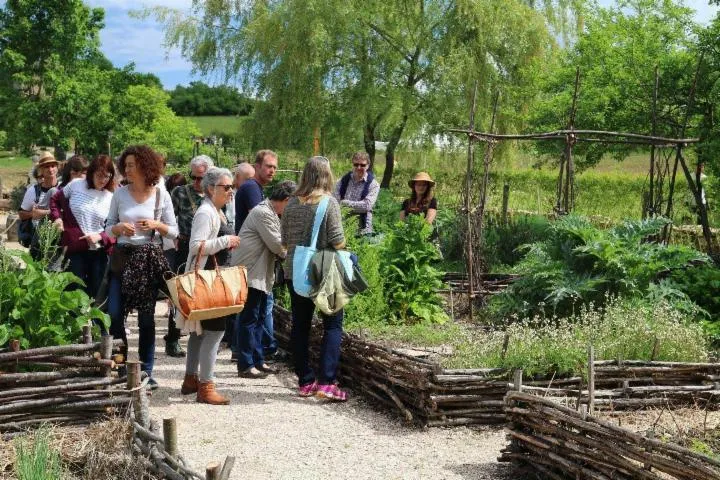 Image qui illustre: Pour en apprendre davantage... visite guidée d'un jardin médiéval !