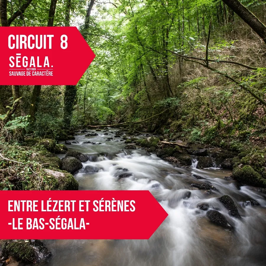 Image qui illustre: Circuit Vtt Vae - Entre Lézert Et Serènes - Le Bas Ségala à Le Bas Ségala - 0