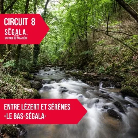 Image qui illustre: Circuit Vtt Vae - Entre Lézert Et Serènes - Le Bas Ségala