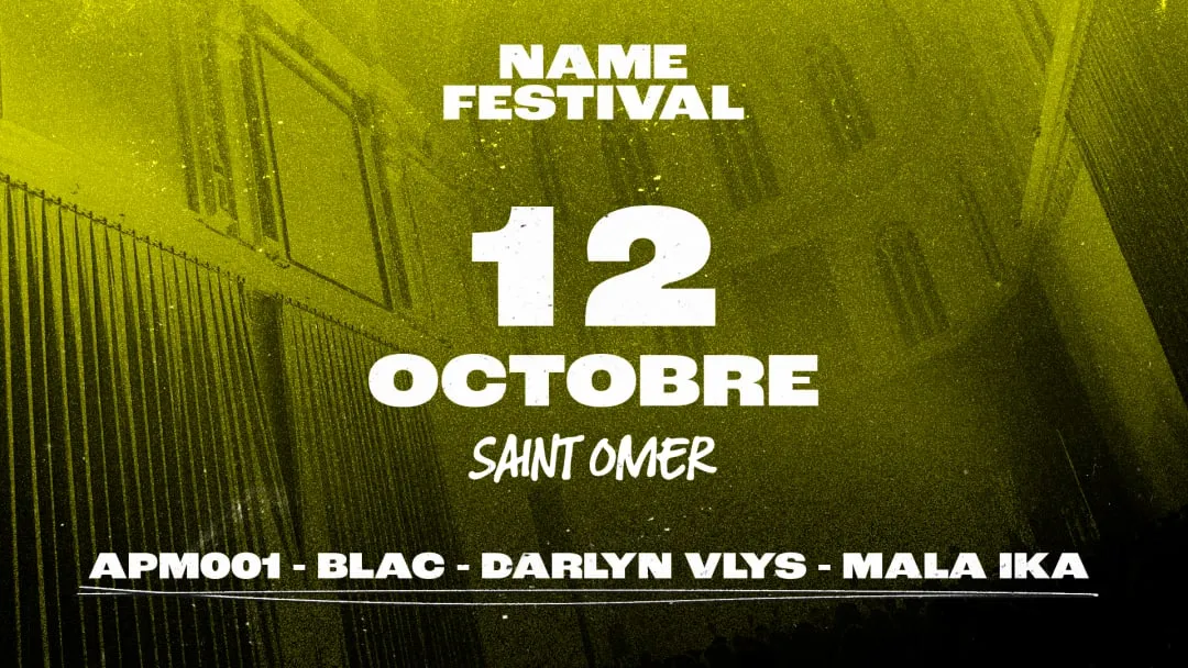 Image qui illustre: NAME Festival à Saint Omer 2024 à Saint-Omer - 0