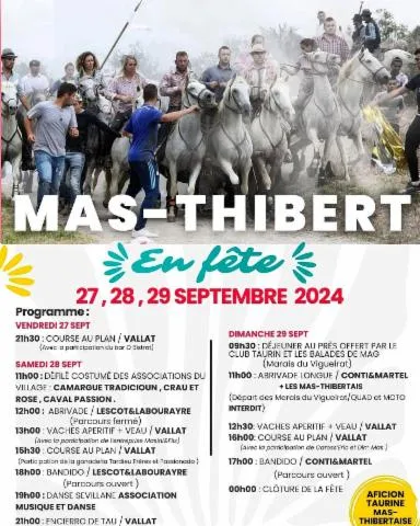 Image qui illustre: Mas-Thibert en fête