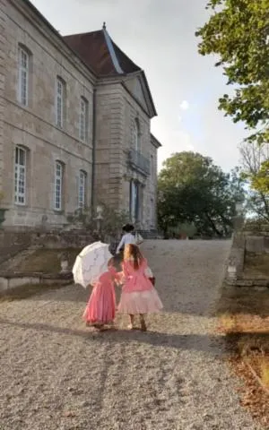 Image qui illustre: Visite guidée du château et des jardins à la française de Vaire-le-Grand