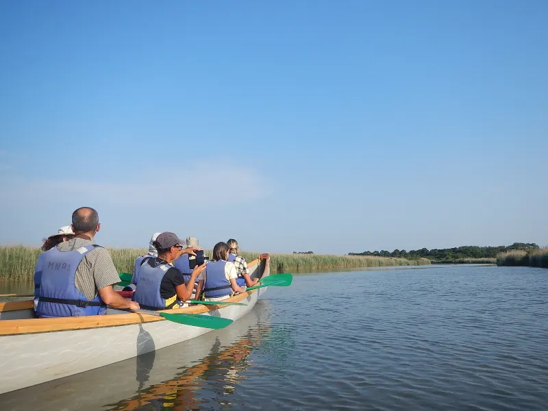 Image qui illustre: Visite de la réserve ornithologique et de son delta à pied et en canoë à Le Teich - 0