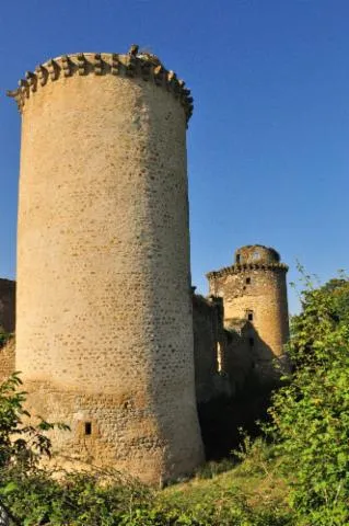 Image qui illustre: Château De La Prune Au Pot