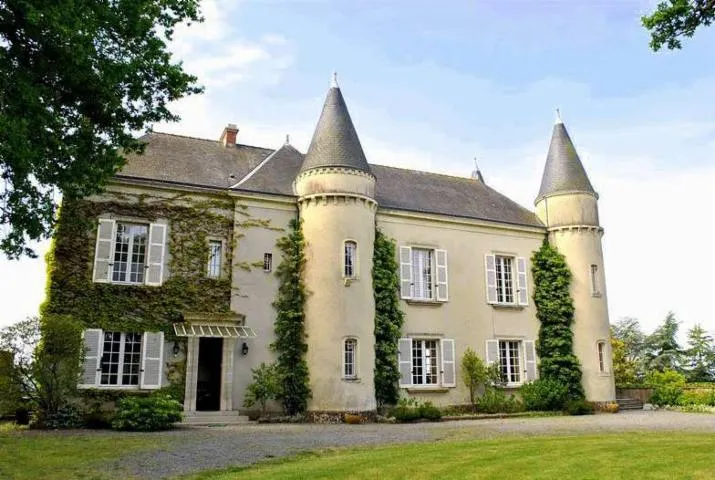 Image qui illustre: Château Haute Roche