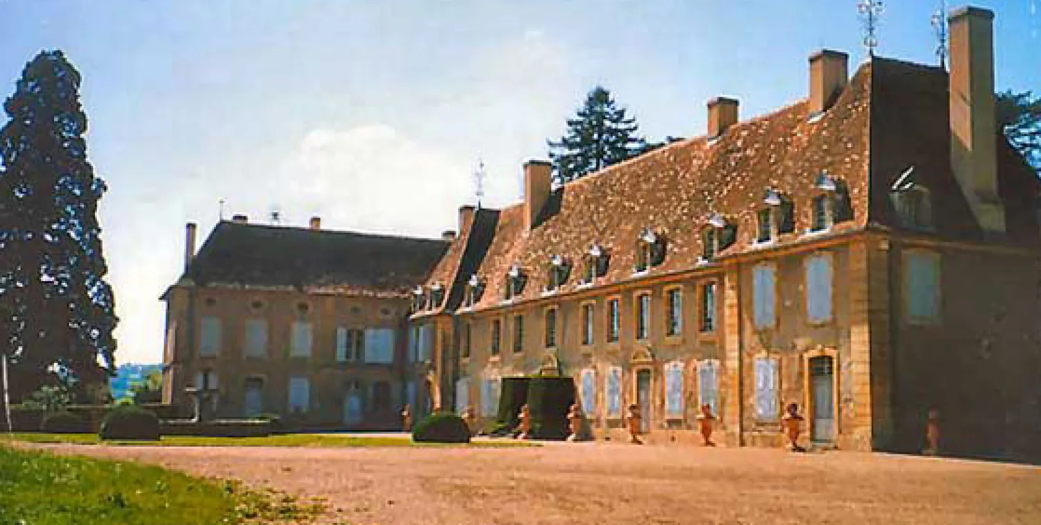 Image qui illustre: Château De Saint-léger à Saint-Léger-de-Fougeret - 0