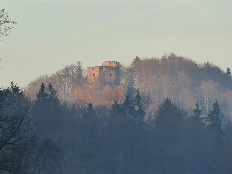 Image qui illustre: Château Du Nouveau-windstein à Windstein - 0