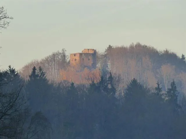 Image qui illustre: Château Du Nouveau-windstein