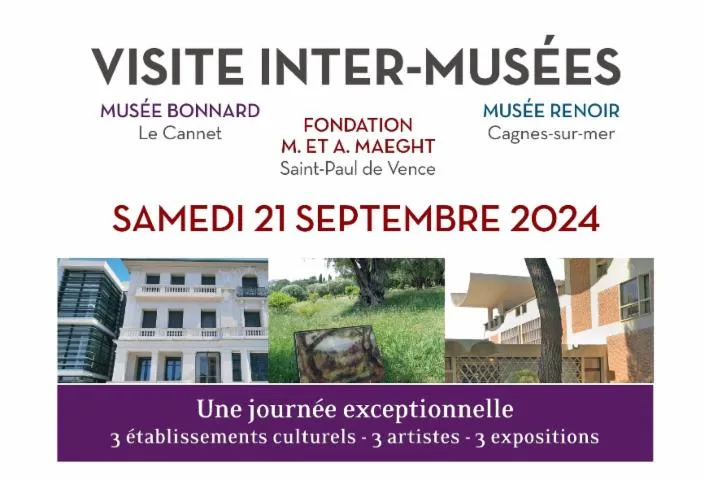 Image qui illustre: Visite inter musées