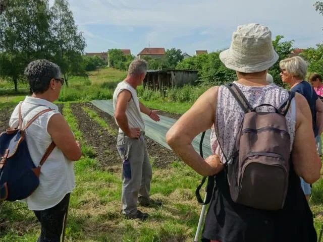 Image qui illustre: Visite Du Jardin Bio Arc En Sol