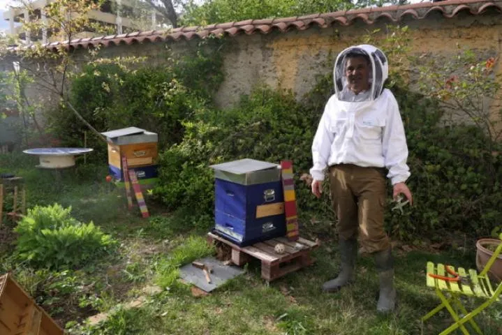 Image qui illustre: Initiez-vous à l'apiculture