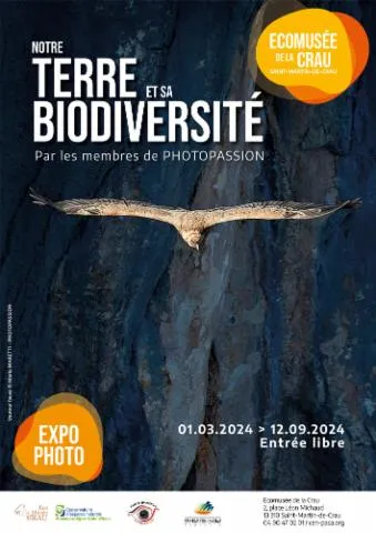 Image qui illustre: Exposition : « Notre Terre Et Sa Biodiversité » À L’écomusée De La Crau