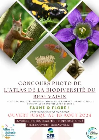 Image qui illustre: Concours Photos De L'atlas De La Biodiversité Du Beauvaisis