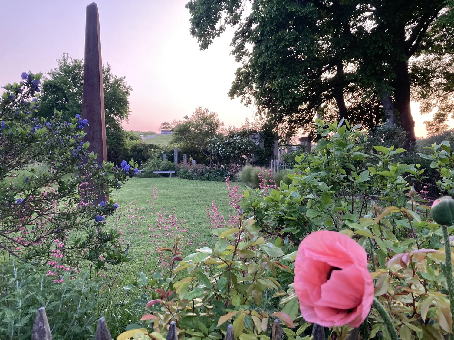 Image qui illustre: Jardin et nature au cœur de la Bourgogne-Franche-Comté à Céron - 0
