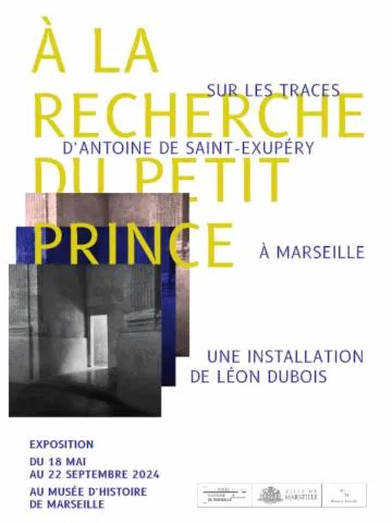 Image qui illustre: À La Recherche Du Petit Prince