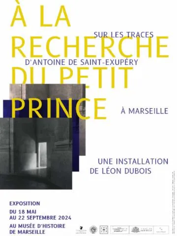 Image qui illustre: À La Recherche Du Petit Prince