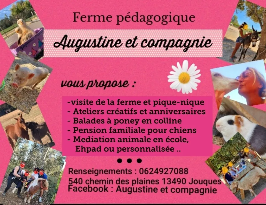 Image qui illustre: Augustine & Compagnie - Méditation animale à Jouques - 0