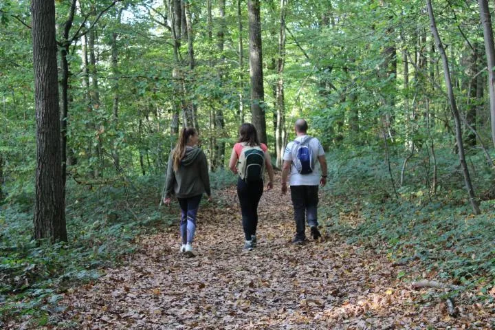 Image qui illustre: Crévecoeur-le-grand - Parcours Patrimoine