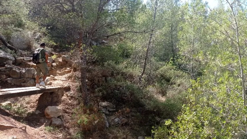 Image qui illustre: Sentier Entre Mer Et Étangs