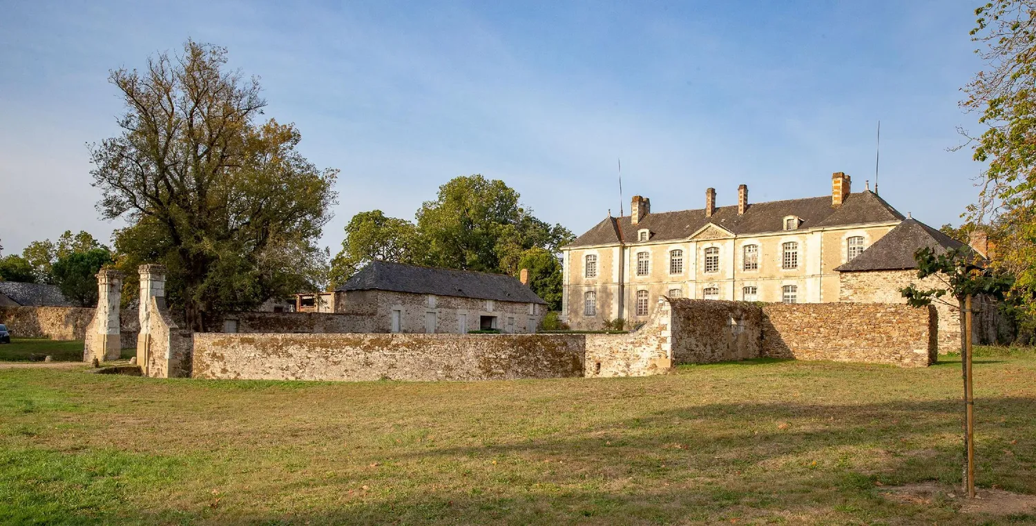 Image qui illustre: Château de Rochefort 