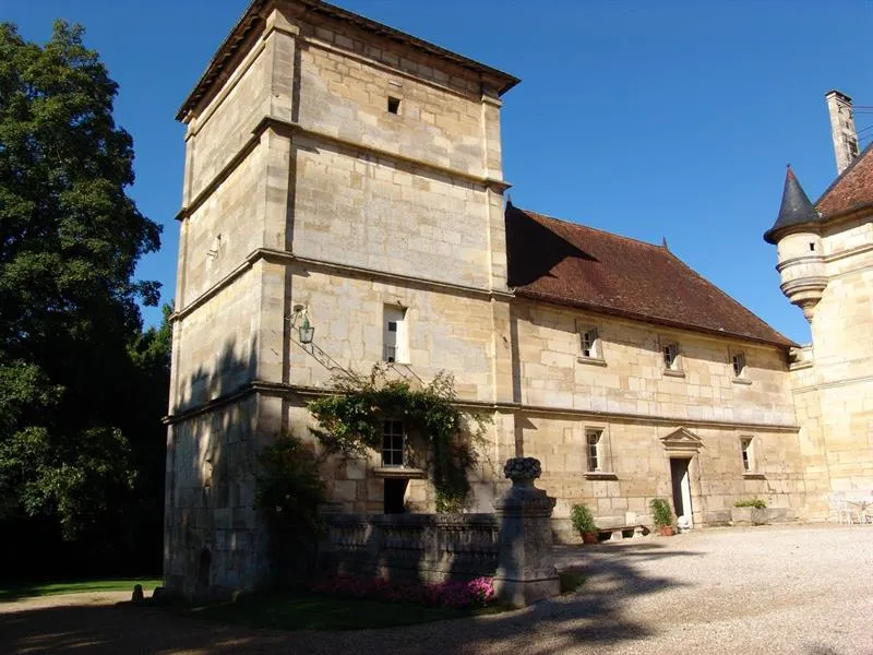 Image qui illustre: Château De La Varenne à Haironville - 1