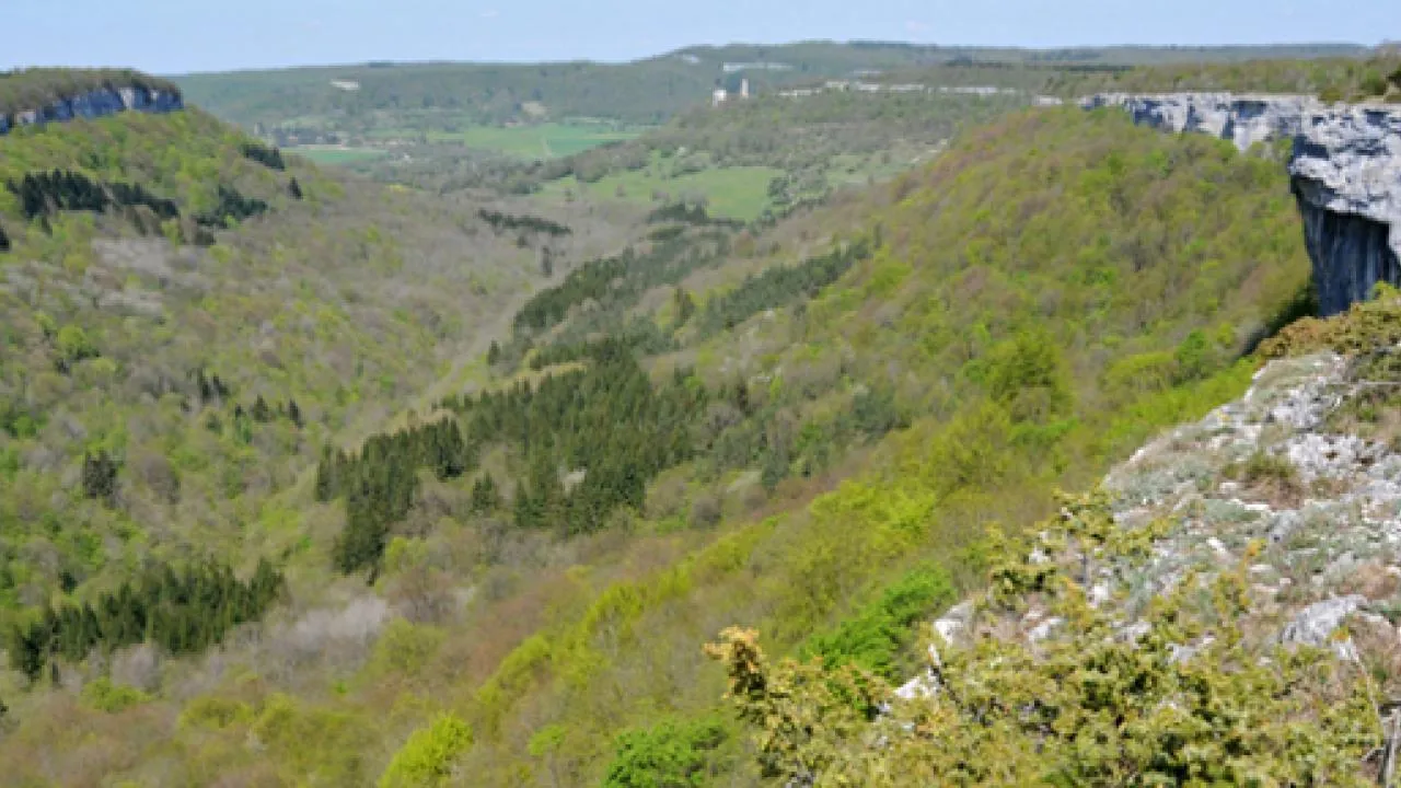 Image qui illustre: Réserve naturelle - Ravin de Valbois