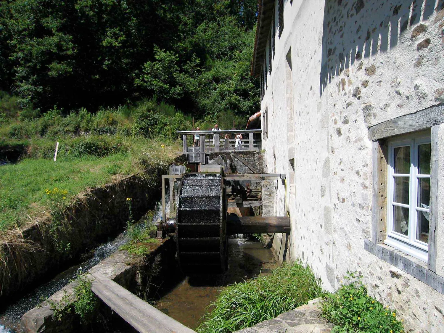 Image qui illustre: Sentier de Brignac au Moulin du Got à Royères - 2